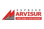 Inicio 3
